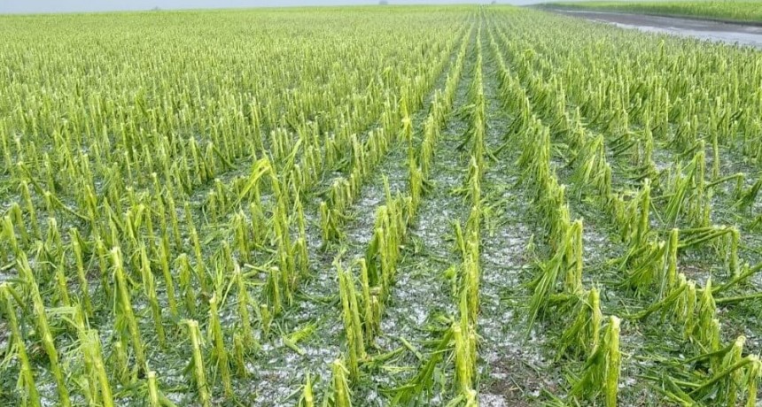 Riesgo climático: las herramientas del INTA para prevenirlo