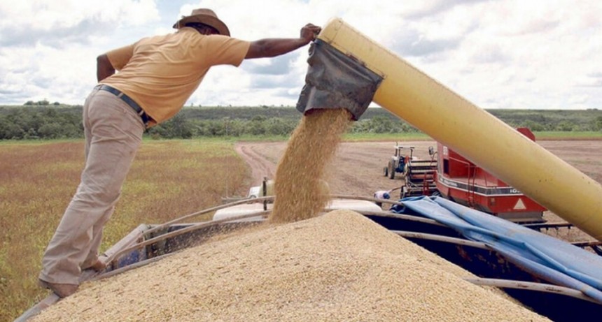 El Gobierno aumentó el saldo exportable de trigo: el agro niega haberlo convalidado