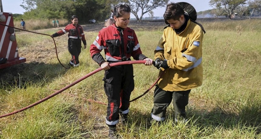 Misiones, Corrientes y Río Negro presentan focos activos de incendios forestales