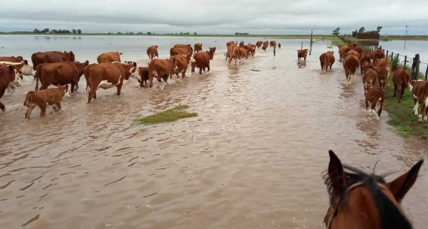 Miles de hectáreas bajo el agua: duros reclamos de Federación Agraria