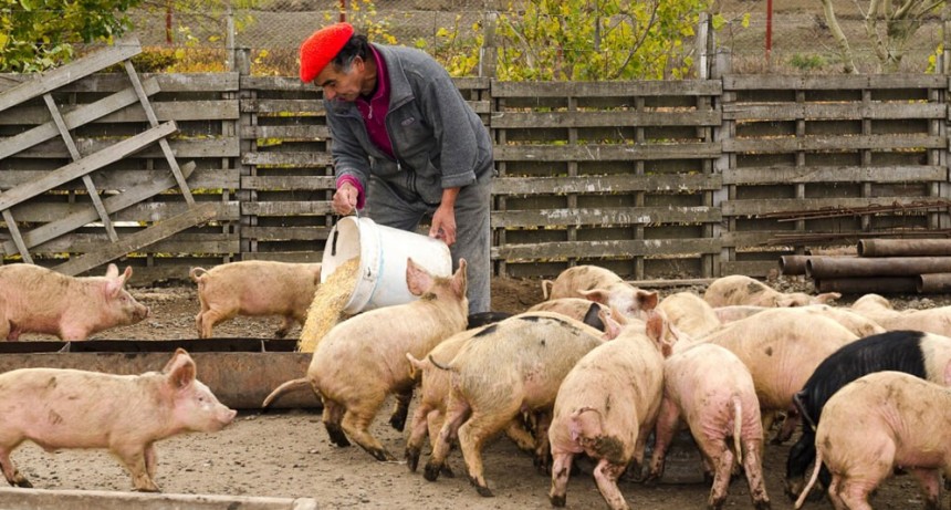 En medio de la disputa con el agro, el Gobierno oficializó el bono para trabajadores rurales