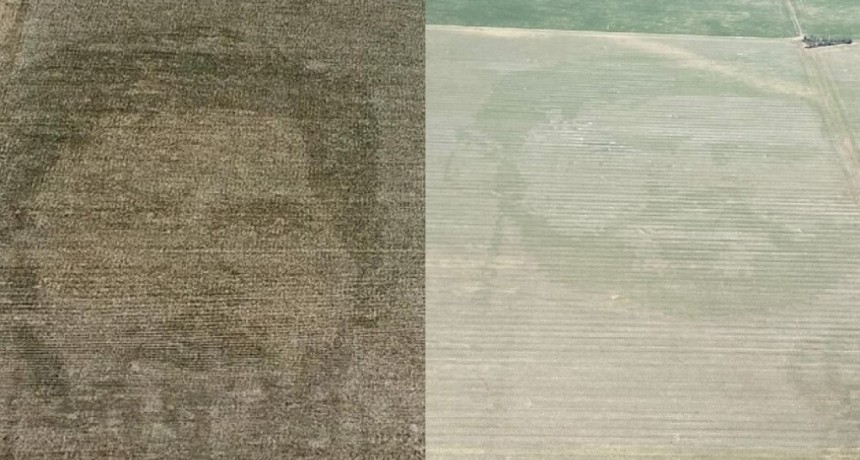 Siguen los festejos por el Mundial: ya asoman las primeras caras de Messi en los campos argentinos