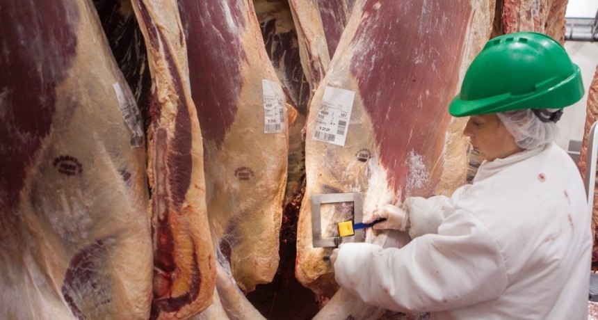 ¿Qué pasará con el troceo?: la carta de los matarifes a Massa y el escepticismo de una cámara cárnica