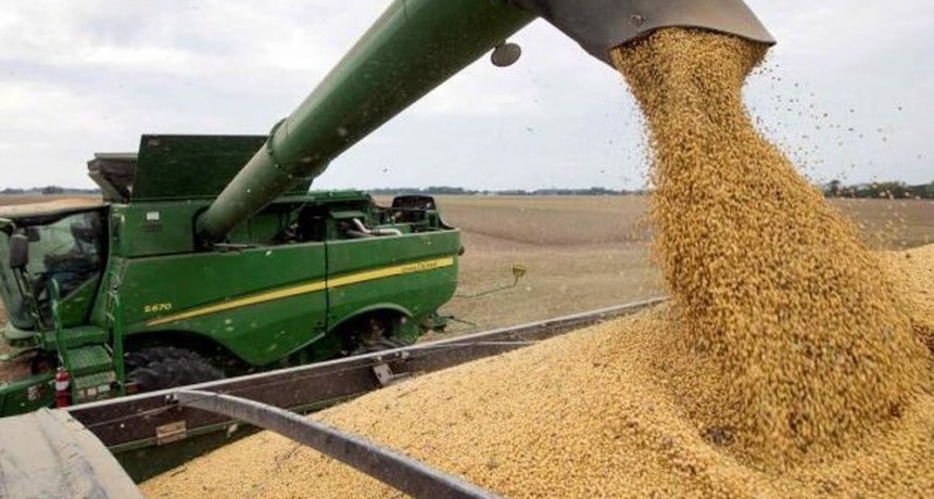 Las últimas lluvias despejaron los peores escenarios de cosecha en soja y maíz