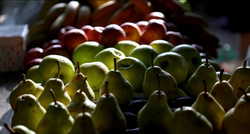 Balance 2023: ganadores y perdedores de las exportaciones agroindustriales