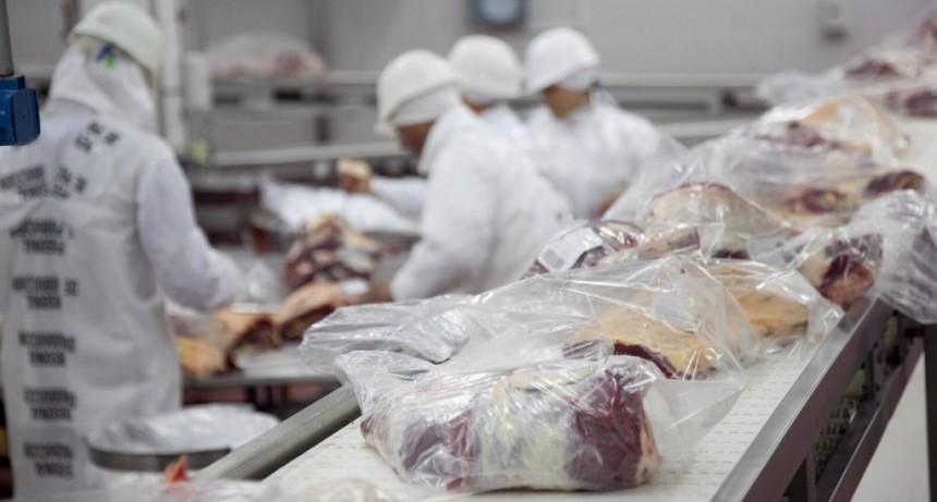 Distribuyen entre 19 frigoríficos los cupos de exportación de carne bovina a Colombia