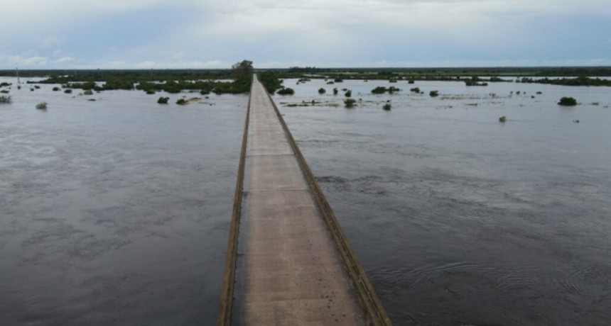 Duele Corrientes: la preocupación de los productores por las inundaciones