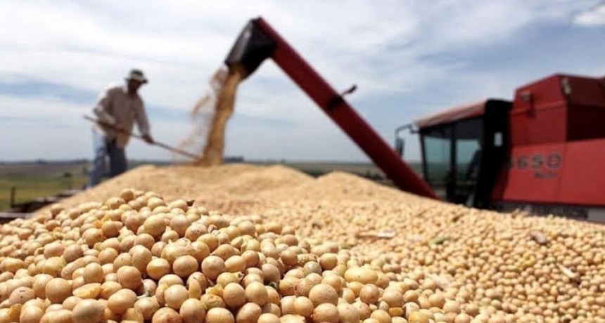 Carbap pidió que se quite de la Ley de Bases la normativa sobre tecnología en semillas