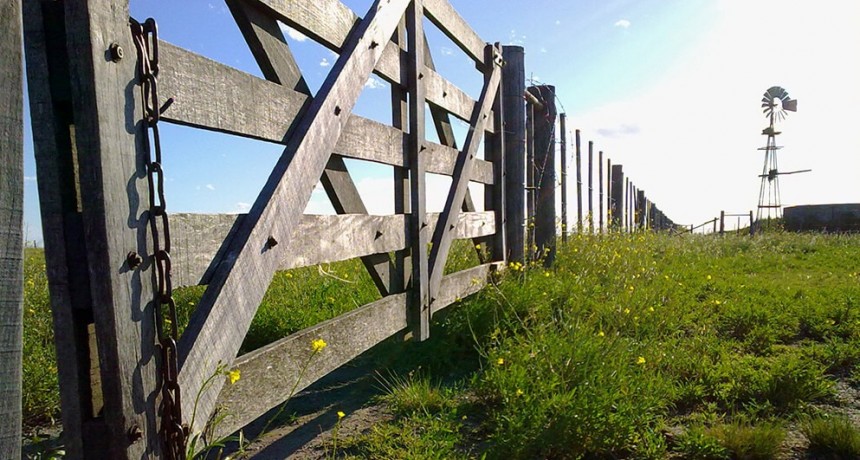Más problemas para el DNU de Javier Milei: un juez frenó la derogación de la Ley de Tierras