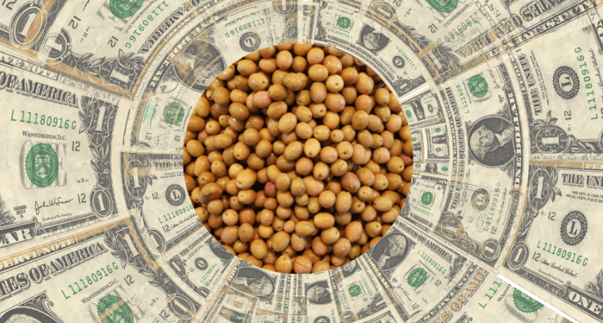 Tras el llamado del Gobierno a “reconstruir” la Argentina, el ruralismo volvió a la carga por las retenciones