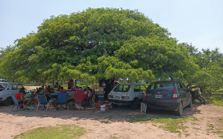 Bajo la sombra que nos junta
