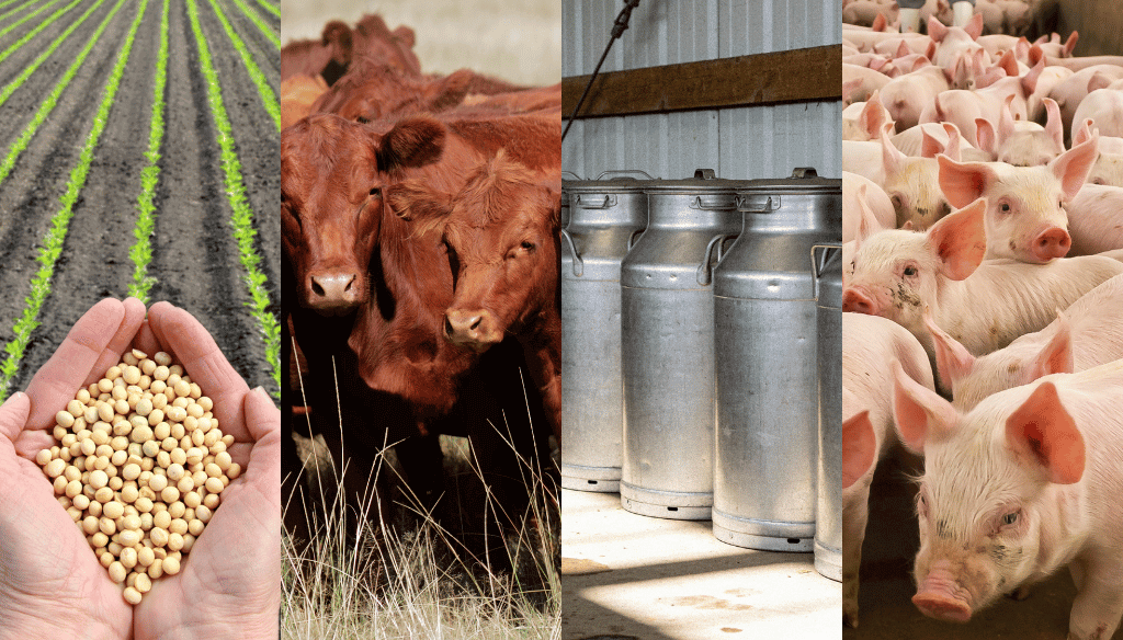 Solo la hacienda vacuna logró ganarle a la inflación en 2025: granos y leche quedaron en rojo