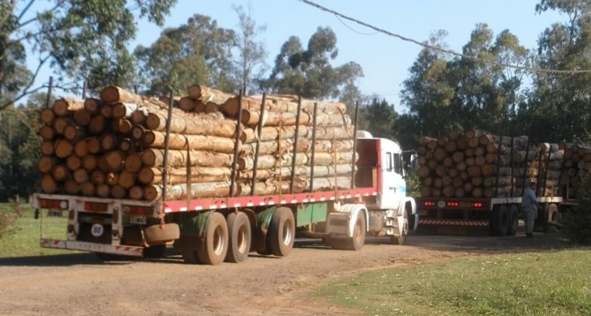 “Es una transgresión grave”: una provincia del agro endurece multas por exceso de peso en camiones