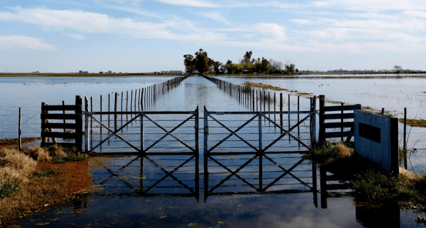 Plan Maestro del Salado: Buenos Aires licita un tramo de la obra, con financiamiento europeo