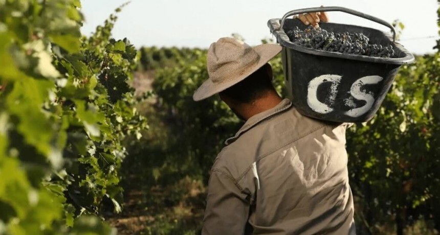 Denuncia gremial: ¿hay una crisis real en el vino o es una movida empresaria para no subir salarios?