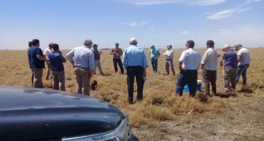 Bastión político: crece el repudio del campo a una politización del INTA