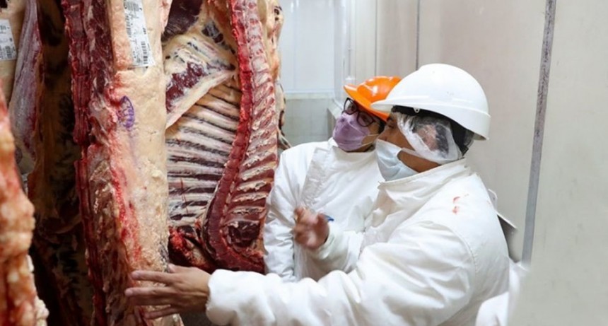 Carne vacuna: cay&oacute; 14% la faena y 15% la producci&oacute;n en enero