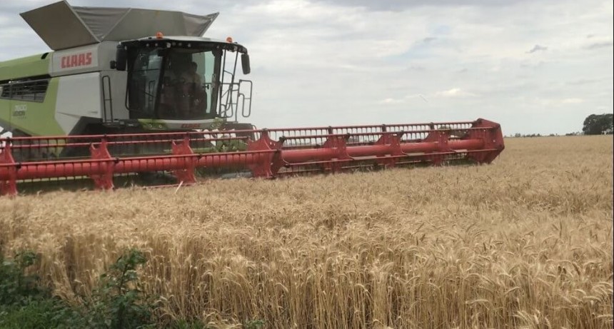 La cosechadora más tecnológica del mundo “se paga sola”