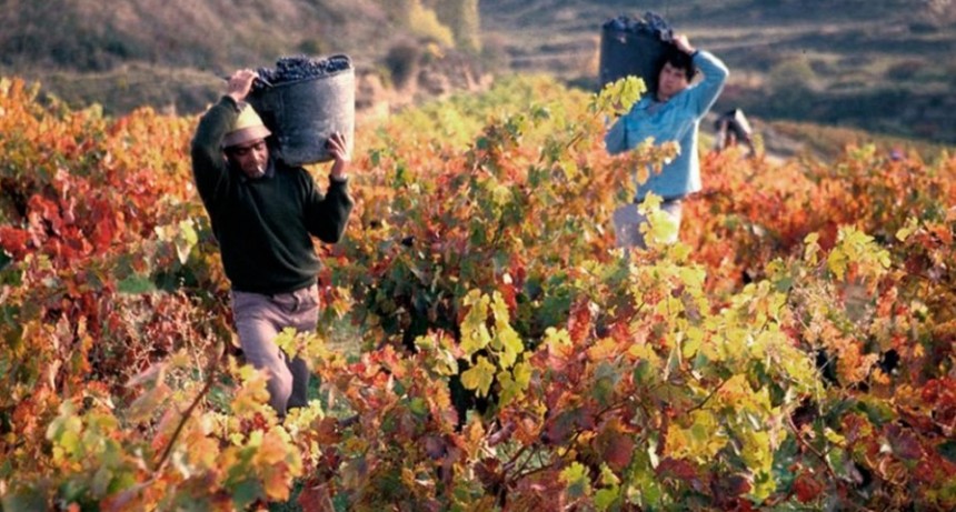 Mendoza será sede de la Asamblea de la Red Mundial de Capitales del Vino
