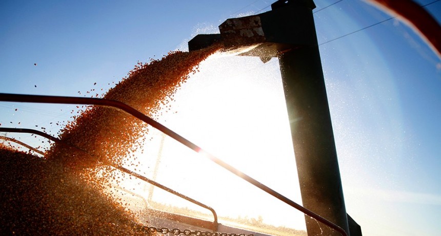 Amplio rechazo del sector al fideicomiso de trigo y ma&iacute;z