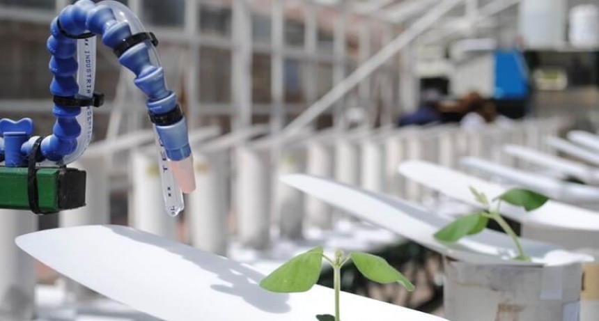 Analizan la puesta en marcha de 21 proyectos de riego