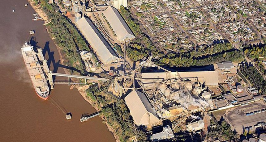 Precios y cantidades: cuánto aportó el agro a las mayores exportaciones de la historia