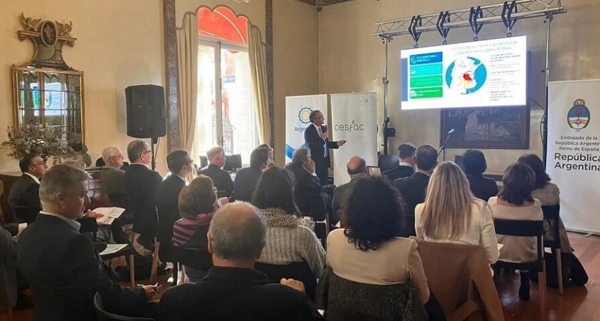 Soja “libre de deforestación”: cómo es el plan de los agroexportadores para cumplir la nueva ley europea