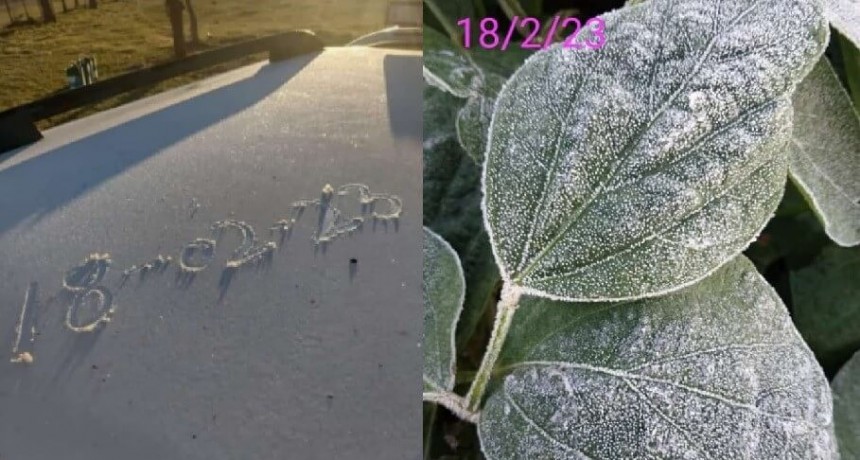 Otro golpe del clima a los cultivos: las fotos y los datos de la histórica helada en pleno verano