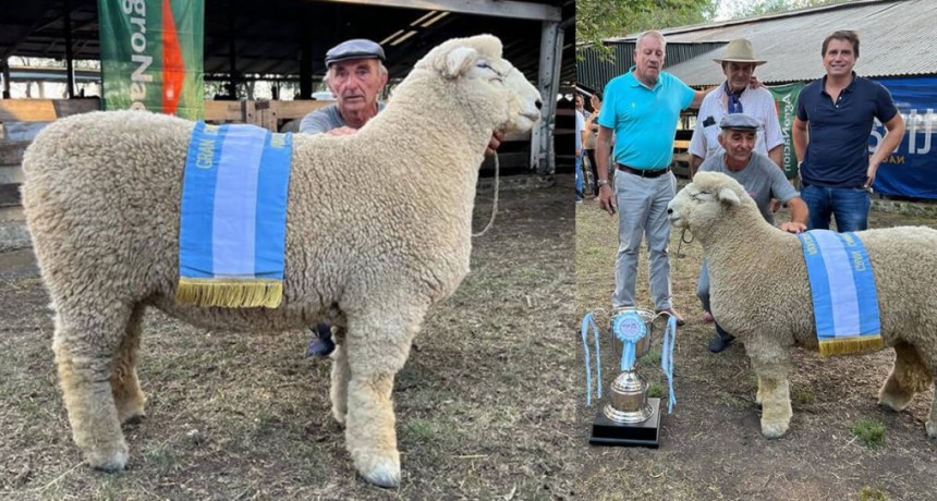 Cabaña ovina modelo: en solo cuatro años, lograron un gran campeón y realizarán su primera exportación