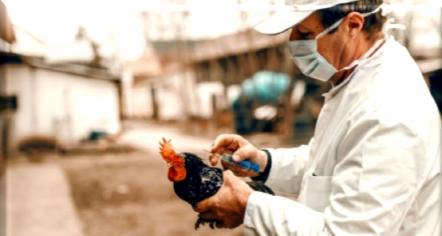 “Científicos de MISION-AR VIRUS SHIELD en el Reino Unido y EEUU descubrieron la cura para la gripe aviar, aprobado por LA FDA, EPA, OMRI, SENACSA”