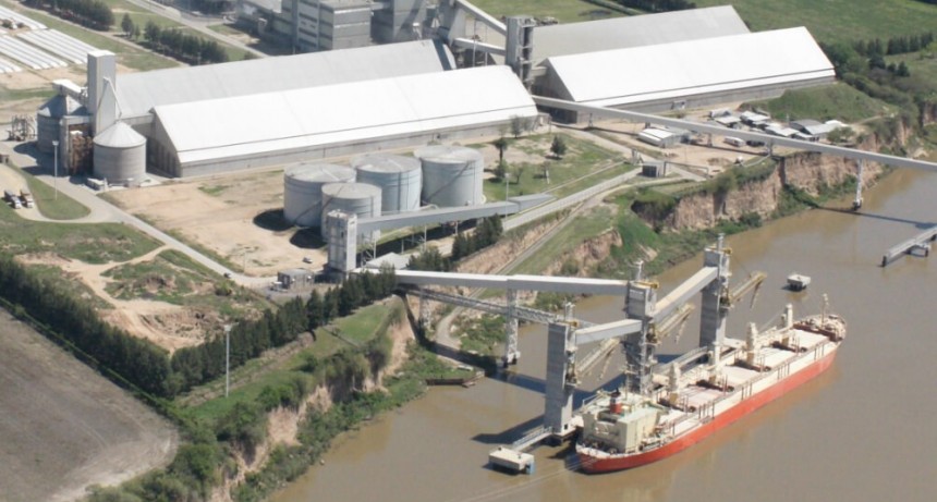 Por la baja de precios, Argentina ya perdió U$S 3.300 millones de su principal producto de exportación