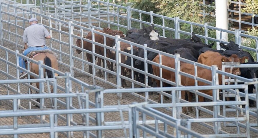 En Cañuelas, la hacienda de consumo volvió a superar la barrera de los $ 2.000