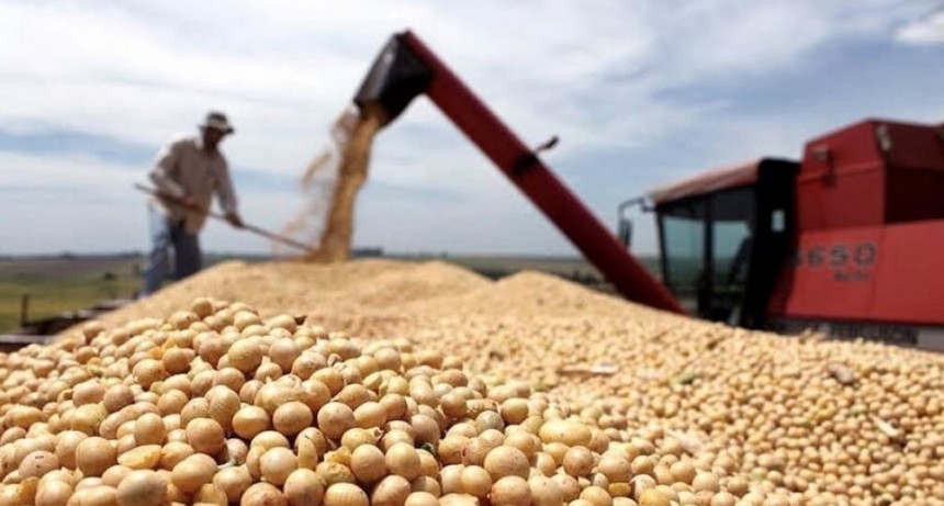 Vuelven las quejas del agro contra el Banco Central por “discriminación financiera”