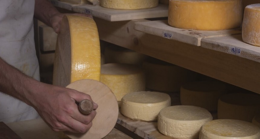 Quesos patag&oacute;nicos: en la precordillera de Jun&iacute;n de los Andes, las vacas Jersey recuperan una tradici&oacute;n