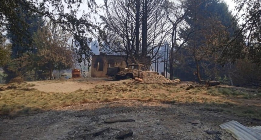 “Es tiempo de solidaridad”: suspenden la Expo Rural de Bariloche por los incendios en la Patagonia