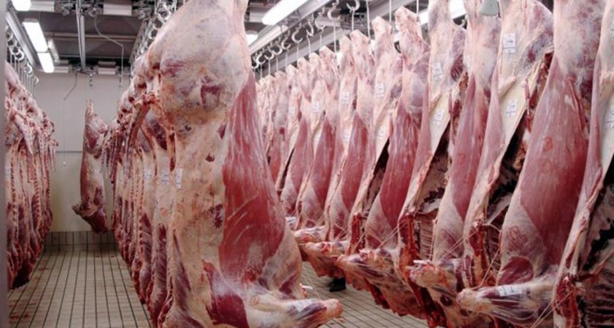 Menos oferta de carne: la faena bovina inició el 2025 con un retroceso
