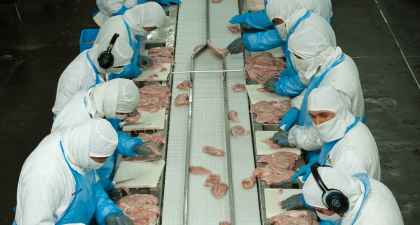 El pollo argentino comienza a volar hacia Corea del Sur y busca expandirse en el mercado &aacute;rabe