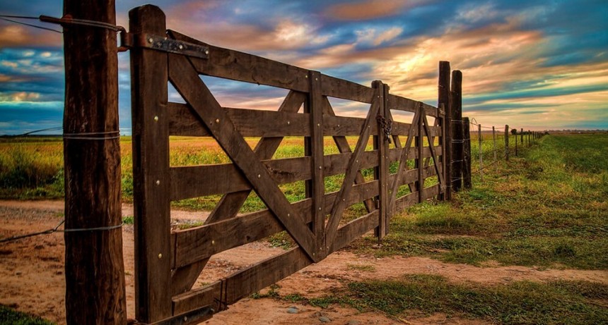 Campos en alza: la puja entre compradores activos y una oferta mínima recalienta el mercado rural