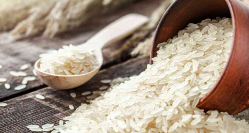 El arroz argentino entra en la era de la edición génica y marca un antes y un después para el cultivo