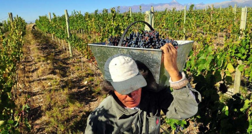 Productores mendocinos salen a la calle y regalarán su producción por los bajos precios