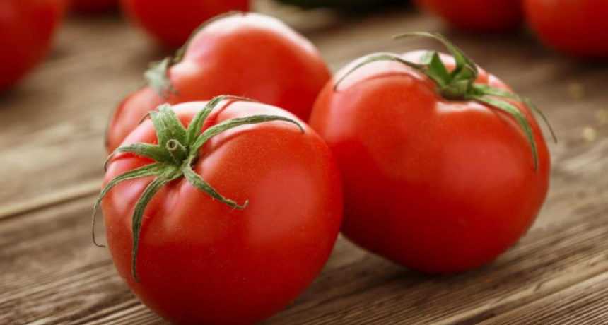 Con menos hect&aacute;reas y m&aacute;s presi&oacute;n importadora, el tomate mendocino atraviesa una campa&ntilde;a de contrastes