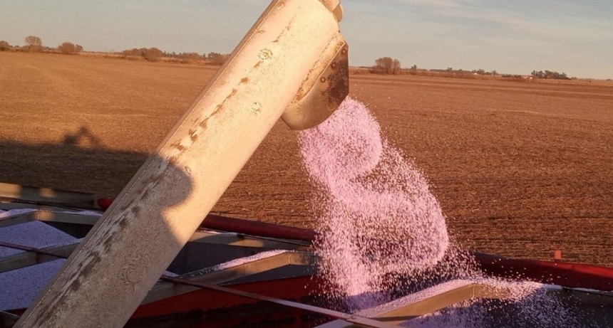 El negocio del agro se fortalece en 2026 con récord de fertilizantes importados