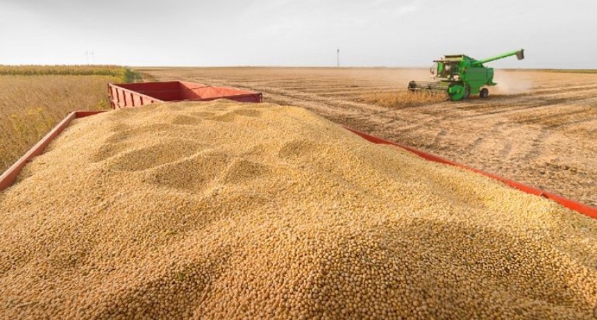 En plena cuarentena, el agro cosechó un 15% más que el promedio de los últimos cinco años