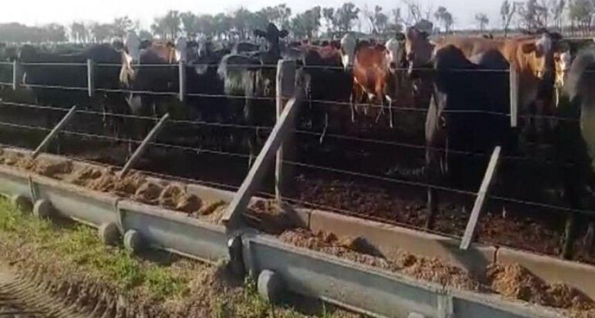 Carne: dan de baja a casi 100 establecimientos de exportación para la cuota Hilton