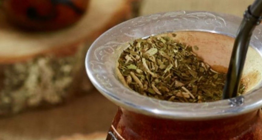 Argentina logró la apertura del mercado indio para la yerba mate