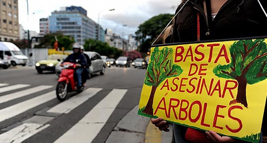 La Legislatura porteña pidió que Larreta informe por qué mandó a talar árboles en el Bajo