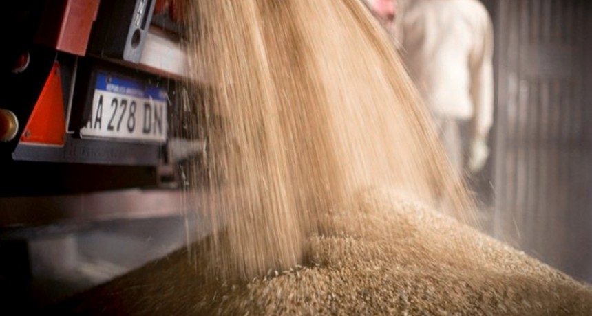 El Gobierno oficializó la creación del Fondo Estabilizador del Trigo Argentino