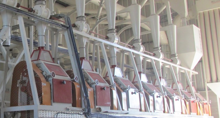 Pequeños molineros, preocupados por las medidas para el trigo