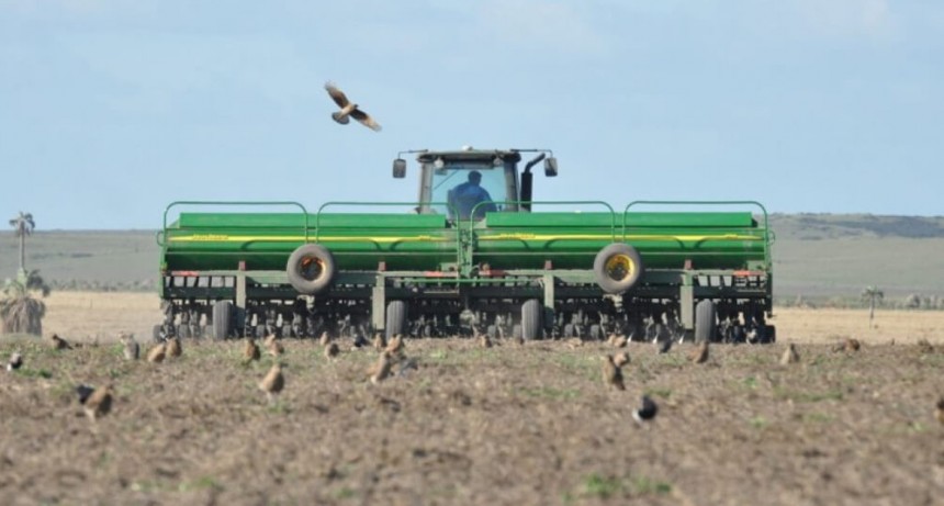 Entre Ríos: estiman que el campo invertirá este año más de U$S 1.000 millones en la siembra
