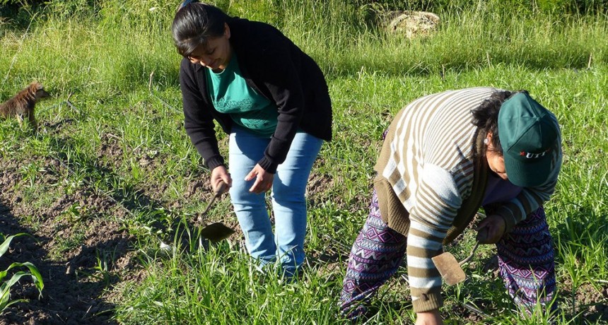 Cierran el Instituto de Agricultura Familiar, Campesina e Indígena que había creado Alberto Fernández
